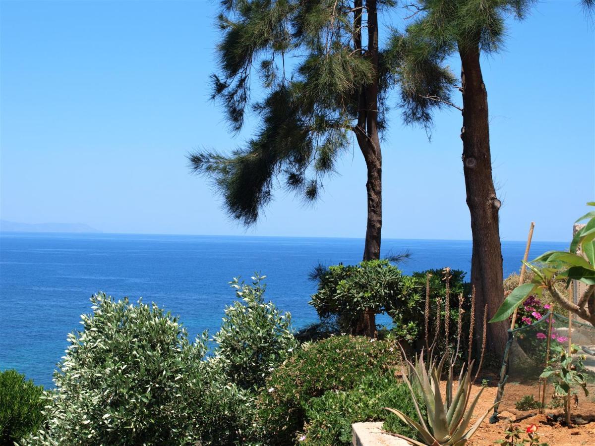Emerald Apartment Halepa Chania  ภายนอก รูปภาพ